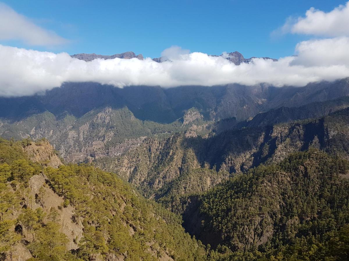 Palma Tellus Διαμέρισμα Tazacorte Εξωτερικό φωτογραφία